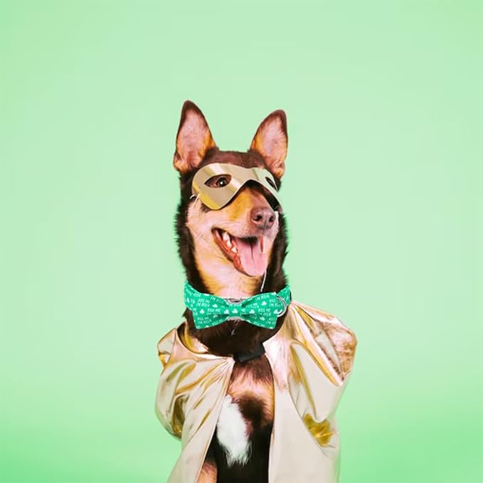 Unique Style Paws St. Patrick's Day Dog Collar with Bow Green Clover Dog Collar Bowtie Bowtie Collar for Large Medium Small Dogs