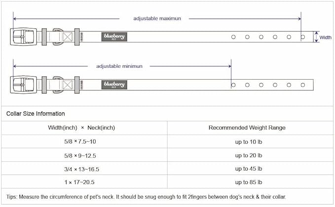 Blueberry Pet Floral Lace Adjustable Dog Collar in French Pink with Metal Buckle, Neck 13-16.5", for Medium Breed
