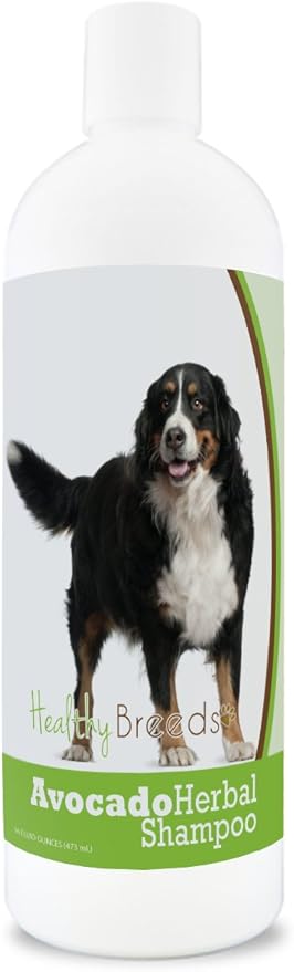 Healthy Breeds Bernese Mountain Dog Avocado Herbal Dog Shampoo 16 oz
