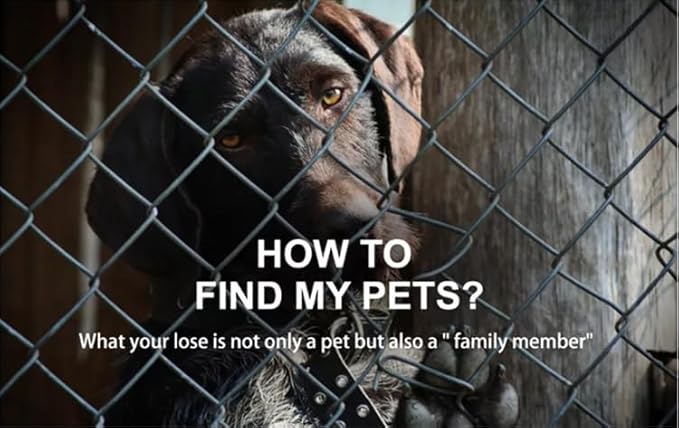 Smart Pet GPS Tracker Collar for Dogs, 4G, Real-Time Position Tracking, GPS Dog Tracker, Activity Monitor, Waterproof, Sound Alarm