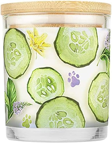 Pet House 9 oz Cucumber Mint Scented Pet Odor Candle, Clean Burning, Long Lasting, Plant Based Spring, Summer Scented Soy Candles, 60 Hour Burn Time, Pack of 2