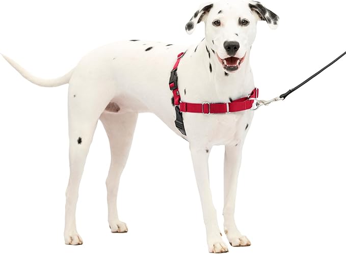 PetSafe Easy Walk No-Pull Dog Harness - The Ultimate Harness to Help Stop Pulling - Take Control & Teach Better Leash Manners - Helps Prevent Pets Pulling on Walks, Medium/Large, Red