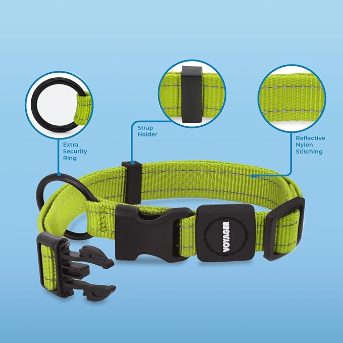 Voyager Reflective Dog Leash Collar Set with Neoprene Handle Supports Small, Medium, and Large Breed Puppies, Cute and Heavy Duty for Walking, Running, and Training - Lime Green, L