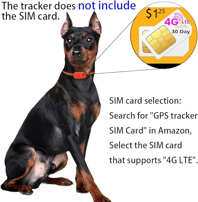 Smart Pet GPS Tracker Collar for Dogs, 4G, Real-Time Position Tracking, GPS Dog Tracker, Activity Monitor, Waterproof, Sound Alarm
