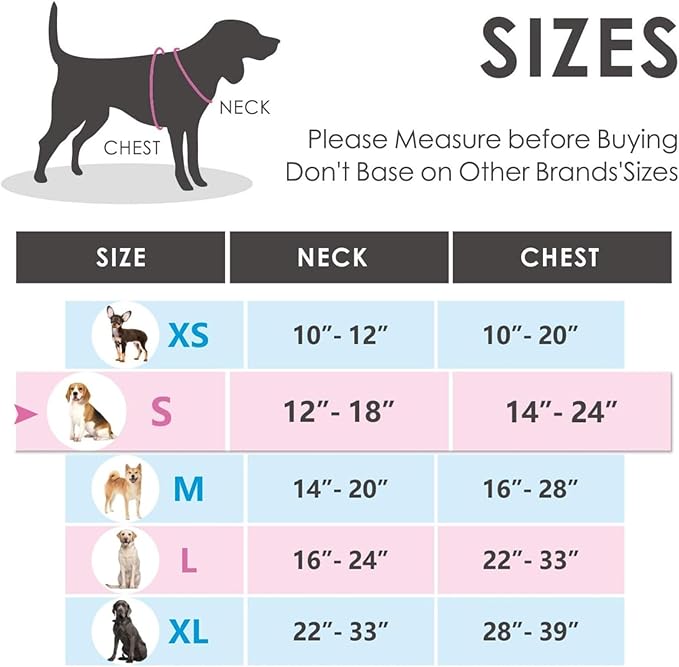 PHOEPET No Pull Dog Harness Reflective Adjustable Vest with a Training Handle, Name ID Pocket, 2 Metal Leash Hooks, 3 Snap Buckles [Easy to Put on & Take Off](S, Baby Blue)