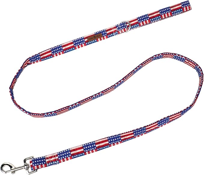 Lionet Paws Patriotic 4th of July American Flag Dog Leash Matching Dog Collar for Small Medium Large Dog