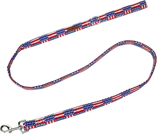 Lionet Paws Patriotic 4th of July American Flag Dog Leash Matching Dog Collar for Small Medium Large Dog