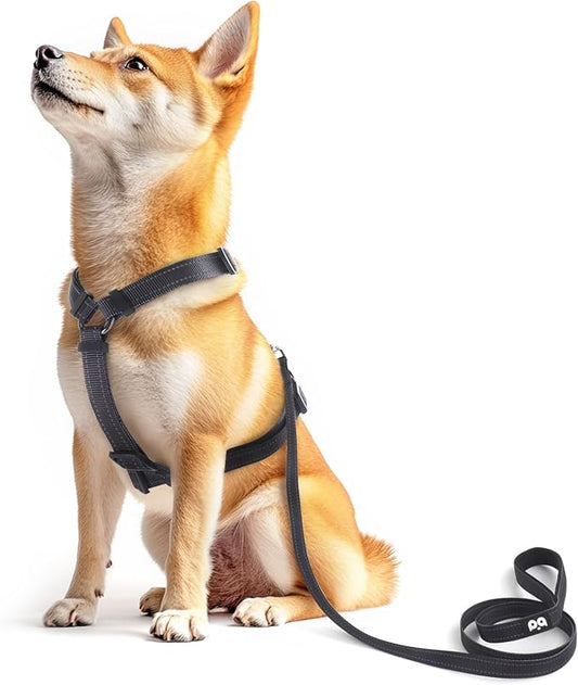 Dog Harness Leash Set, No Pull Adjustable Halter Cute Comfort Padded Handle for Medium Sized Large Small Dogs Walking Training Running with Reflective（XSmall,Black）