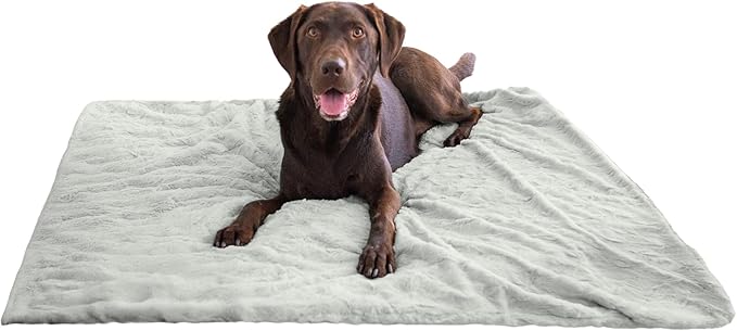 Best Friends by Sheri Calming Lux Dog Blanket, Gray, 40" x 50"