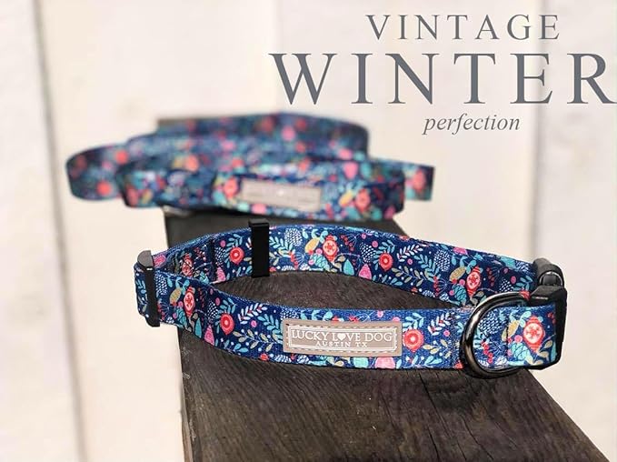 Lucky Love Dog, Blue Winter Pinecones Dog Collar and Leash Set, Vivid Winter Ornaments Dog Collar and Leash for Girl or Boy Dogs - (Extra Small, SweetHoliday Combo)