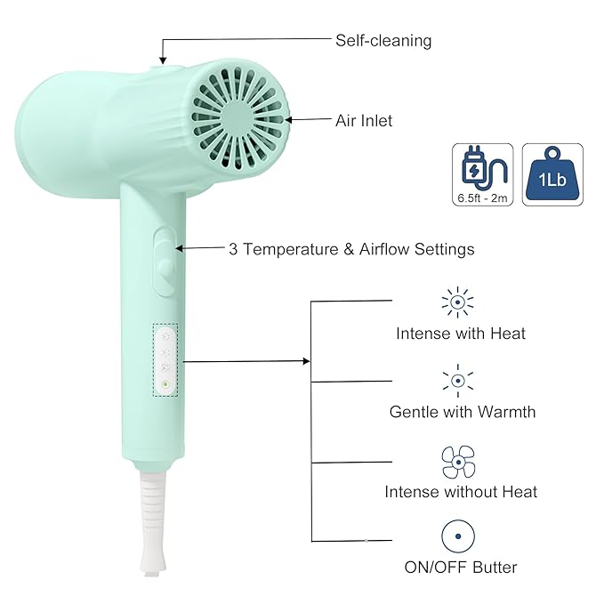 L&W BROS. Low Noise Pet Blow Dryer with Slicker Brush - Adjustable Temperature, Overheating Protection for Grooming (Light Blue)
