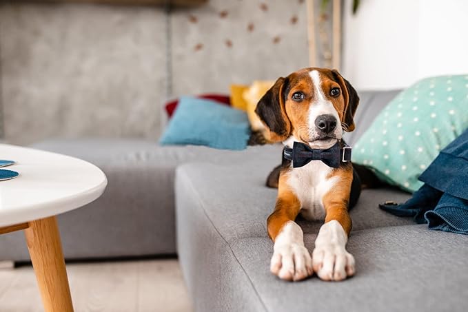 MACA Bates Dog Dark Blue Woolen Collar with Nylon- Warm and Soft Bows Dog Collar for Large Medium Small Dogs, Adjustable Dog Collar with Metal Buckle for Boy and Girl in Winter, XS Puppy Collar