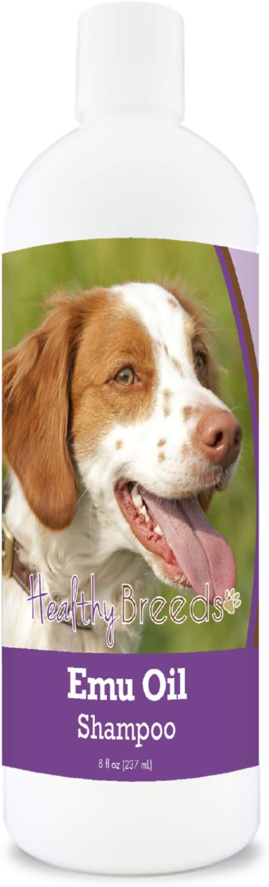 Healthy Breeds Brittany Emu Oil Shampoo - Gentle Cleanser That Provides Soothing Relief of Inflammation While Restoring Moisture Balance - Fruity Scent - 8 oz