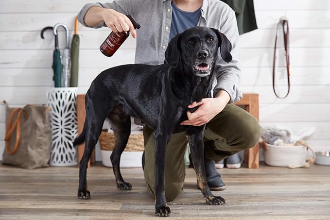 The Spruce Waterless Pet Wash, No Rinse Moisturizing Shampoo for Pets - Daily Pet Care - Cleaning, Cleansing, and Conditioning for Dogs, Puppies, and Cats - 2 oz Travel Size, 3 Pack, Lavender