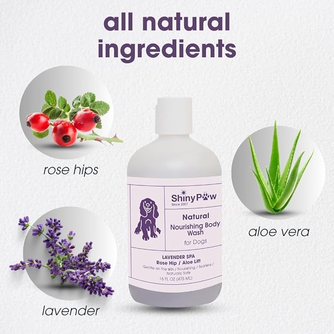 Lavender Shampoo Spa Essentials Nourishing Dog Body Wash 16 oz by Shiny Paw | Anti Itch Shampoo for Dogs | Dog Bath Coat Cleansing for Dogs | Made in The USA