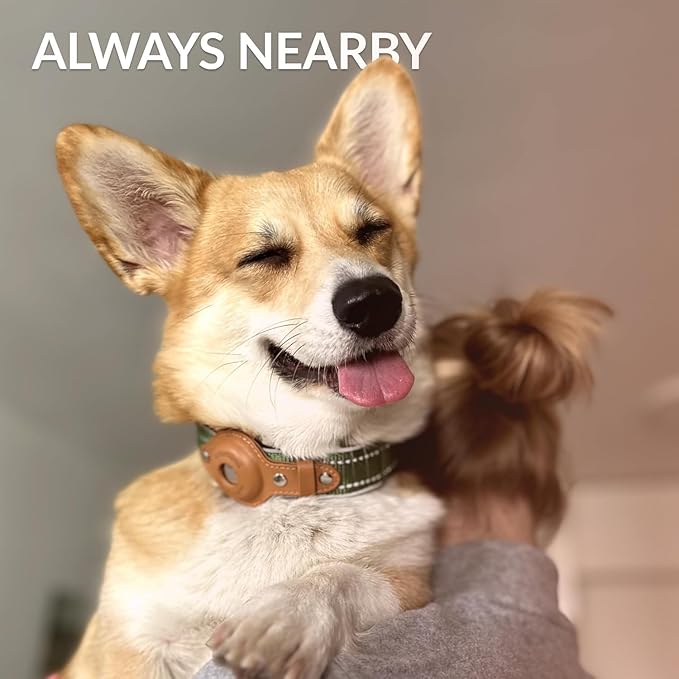 CollarDirect Airtag Dog Collar Reflective Nylon Neoprene Leather Holder for Apple Air Tag for Large, Medium, and Small Dogs (Orange, L, 16.5-20 Inch)