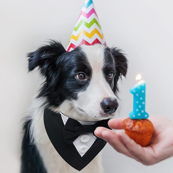 FUAMEY Dog Tuxedo,Formal Dog Wedding Bandana Dog Collar with Bow Tie Dog Birthday Costume Adjustable Pet Party Tux Dog Wedding Attire,Dog Valentines Outfit Cosplay for Small Medium Large Pets Black-L