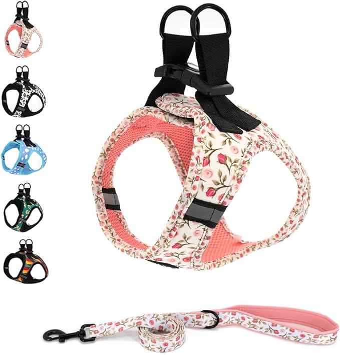 Step in Dog Harness and Leash Set, Reflective Dog Harness and Leash No Pull Dog Harness for Small Medium Large Dogs and Cats (XS(Neck:10-11.5",Chest:12.5-14.5"), RoseFlower)
