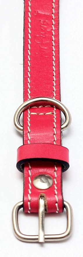 Premium Leather Collars with Stainless Steel Buckles (12"-15", Pink)
