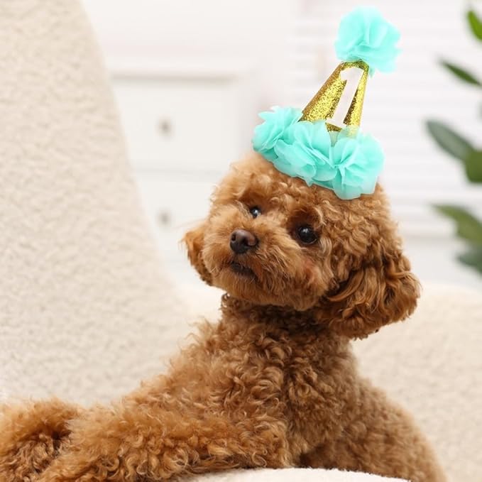 1st Pet Birthday Cone Hat Dogs Cats Holiday Party Hat Headwear Costume with Flowers Accessories and Adjustable Headband for Small Medium Dogs Cats Pets Baby (Blue)