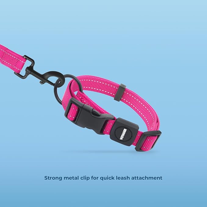 Voyager Reflective Dog Leash Collar Set with Neoprene Handle Supports Small, Medium, and Large Breed Puppies, Cute and Heavy Duty for Walking, Running, and Training - Fuchsia, S