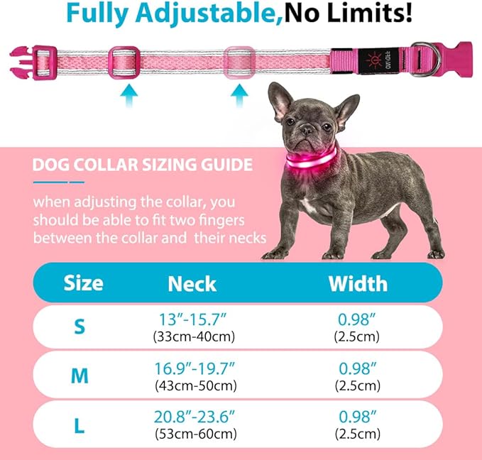 BSEEN Light Up Dog Collar - Reflective LED Dog Collar Light, Adjustable Glowing Puppy Collar, Rechargeable Dog Camping Gear Dog Walking Lights for Small Medium Large Dogs (Small, Pink Ⅱ)