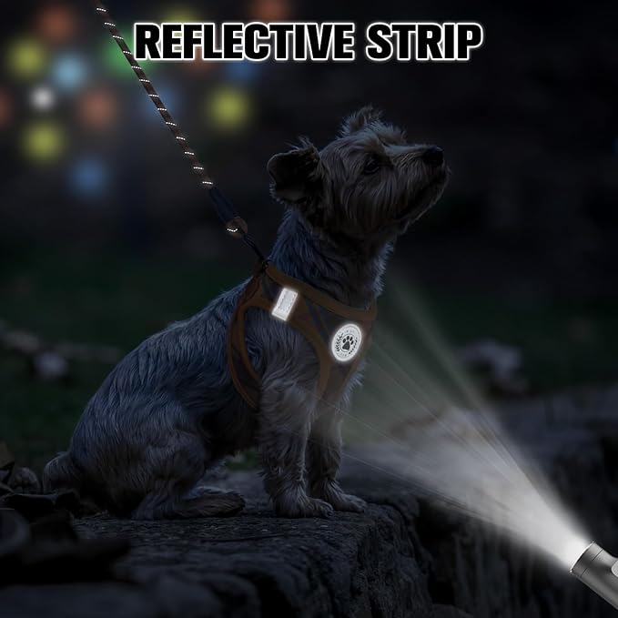 BEAUTYZOO Step in Dog Harness and Leash Set, Reflective Dog Harness No Pull No Choke Puppy Harness for Extra Small Dogs Cats, Soft Padded Mesh Vest Harnesses for Girl and Boy Pets, Orange Plaid M