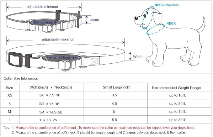 Blueberry Pet Essentials Martingale Safety Training Dog Collar, Violet, Medium, Heavy Duty Nylon Adjustable Collars for Dogs
