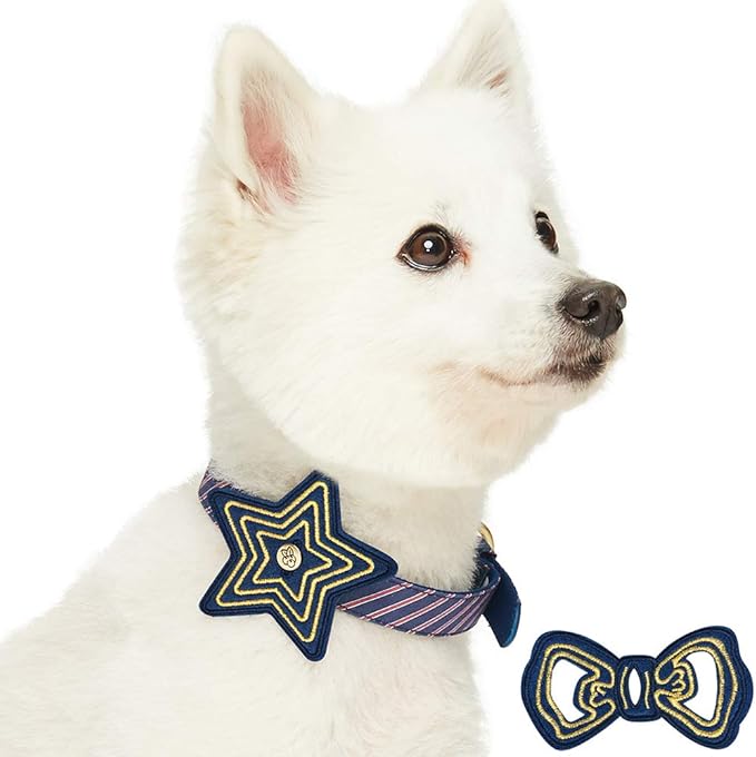 Blueberry Pet 2 Patterns Adjustable Dog Collar with Metal Buckle and 2 Detachable Bowtie - Blue Asymmetric Stripe, Neck 9-12.5", for Small Breed