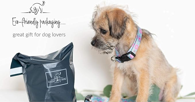 Lucky Love Dog, Boho Chic Dog Collar for Girl Boy Dogs, Vivid Pink and Turquoise Collar for Dogs, Comfortable, Soft, Cute Collars - (Mediuml, Clara Collar)