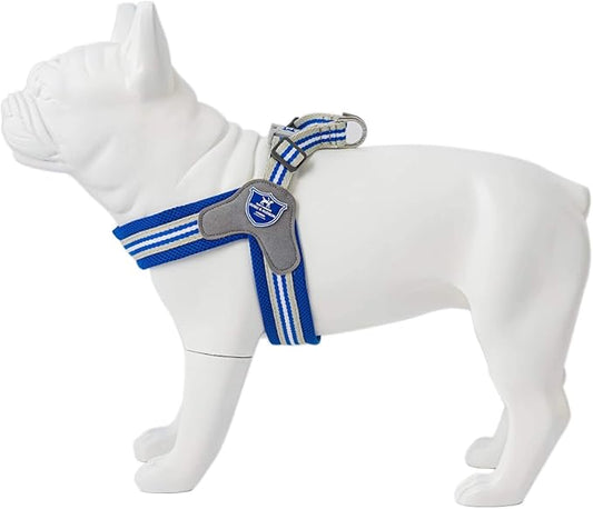 HUGO & HUDSON Easy Walk Dog Harness, Adjustable Quick Dry No-Pull Pet Harness, Royal Blue, Size 2