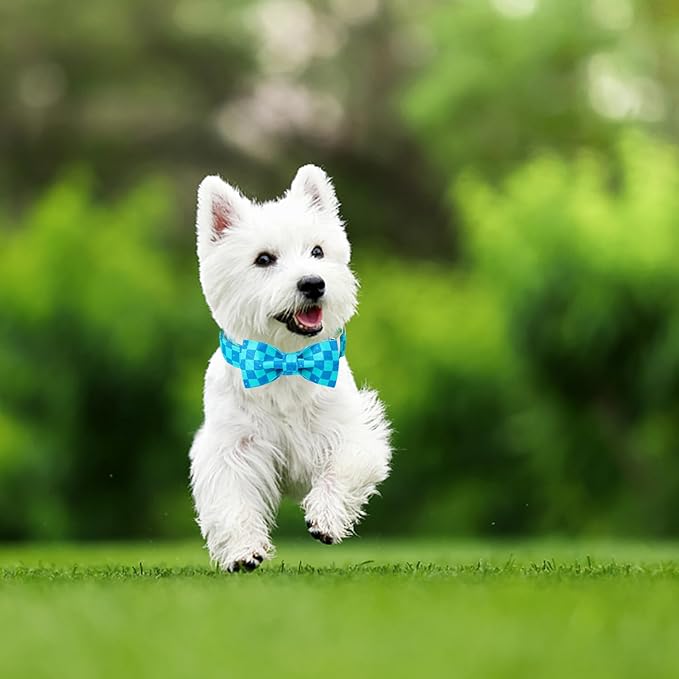 Maca Bates Plaid Blue Dog Collar with Checkered Bow Bowtie for Grid Dogs Bows Tie Adjustable Breakaway Collars Birthday Gift Colar for Small Medium Large XL Girl Boy Male Female Puppy Pets