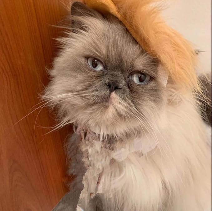 Pet Costume Dog Wig, Dog Clothes with Collar & Tie Head Wear Apparel Toy for Halloween, Christmas, Parties, Festivals (Cat Brown Wig)