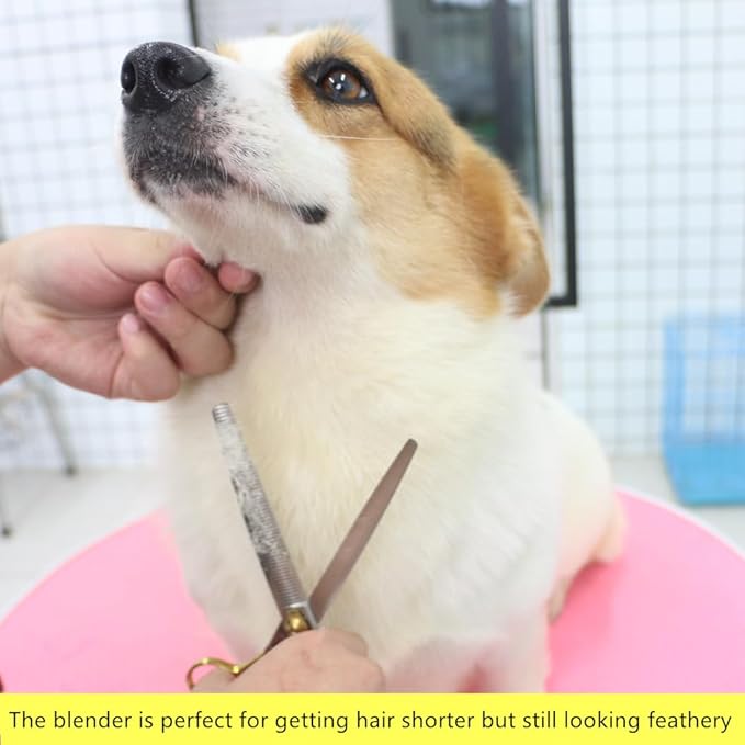 HASHIMOTO Thinning Shears for Dogs, Dog Thinning Shears for Grooming, 46 Teeth, 7.0 inch, 30% Thinning Rate, Light Weight, Balanced.