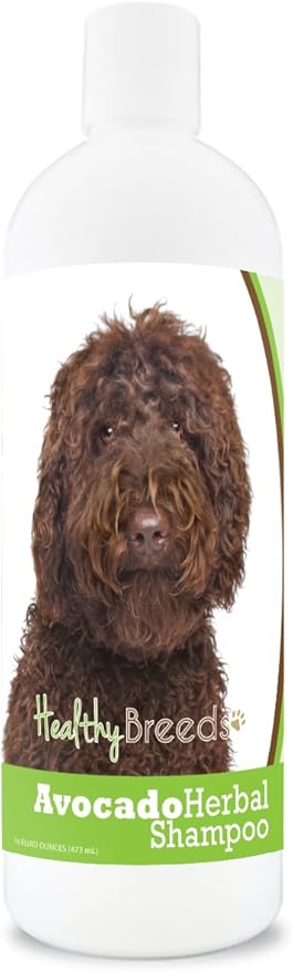 Healthy Breeds Labradoodle Avocado Herbal Dog Shampoo 16 oz