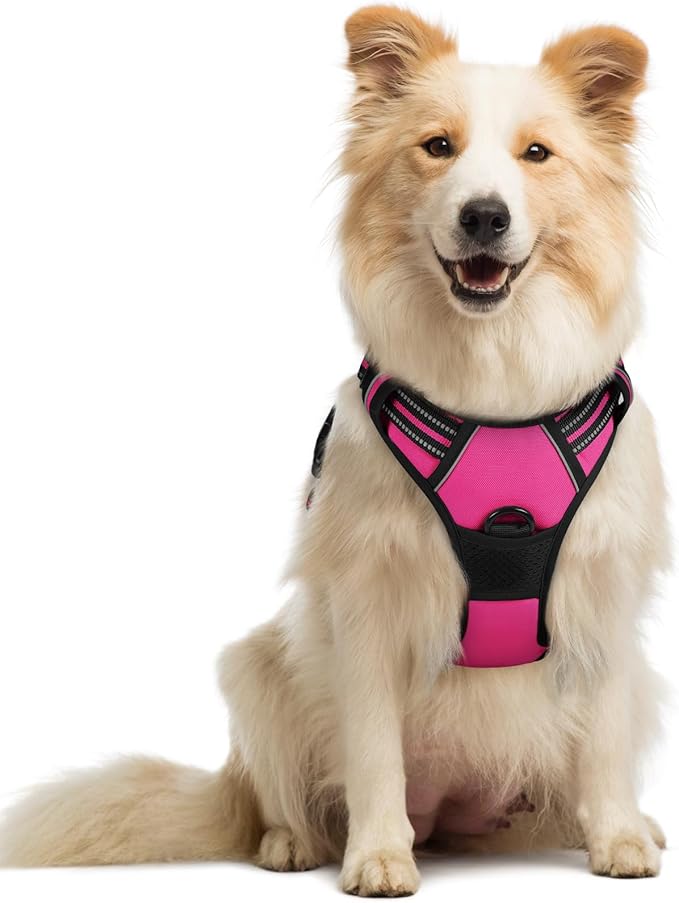 rabbitgoo Dog Harness, No-Pull Pet Harness with 2 Leash Clips, Adjustable Soft Padded Dog Vest, Reflective No-Choke Pet Oxford Vest with Easy Control Handle for Medium Dogs, Hot Pink, M