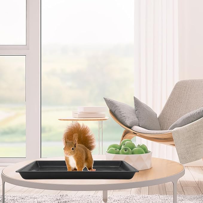 Garneck Replacement Dog Crate Tray Pan - Durable Black Plastic Tray for 43 x 32.5cm Dog Crates - Ideal for Dogs Cats and Small Pets Like Rabbits and Ferrets and Easy to Clean