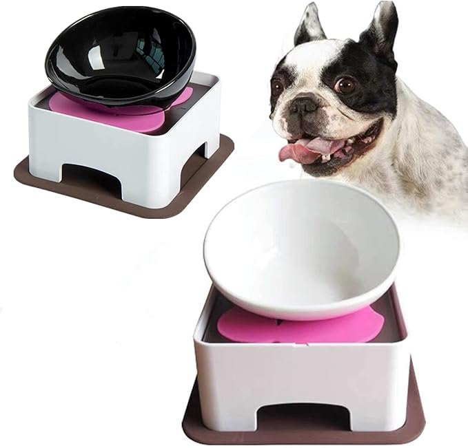Bulldog Anti-Slip Dog Cat Dish Detachable Ceramic Dog Bowl Pet Sterile Tilted Pet Feeder Slope Base (White Ceramic Bowl, 5 Cup Medium/Large Dog)