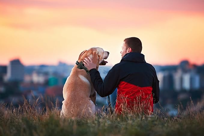 MACA Bates Dog Green Woolen Collar with Nylon- Warm and Soft Bows Dog Collar for Large Medium Small Dogs, Adjustable Dog Collar with Metal Buckle for Boy and Girl in Winter, XS Puppy Collar