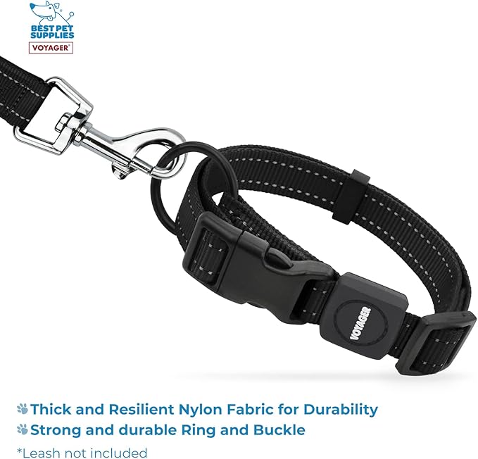 Best Pet Supplies Reflective Dog Collar with Adjustable Length, Heavy-Duty Buckle, and Strong Leash D-Ring, Training, Walking, Jogging Accessory for Small, Medium, and Large Breeds - Black, S