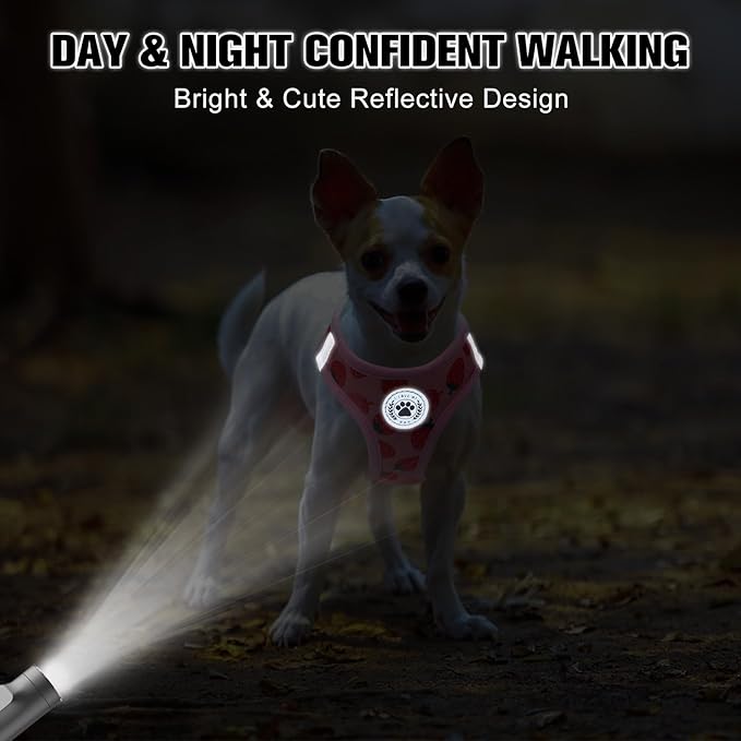 BEAUTYZOO Step in Dog Harness and Leash Set,Reflective Dog Harness No Pull No Choke Puppy Harness for Small Medium Large Dogs Cats,Soft Padded Mesh Vest Harnesses for Girl and Boy Pets, Strawberry XS