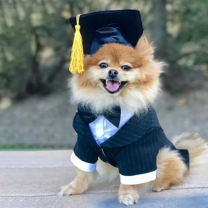 BinaryABC Pet Graduation Caps Dog Graduation Hats with Yellow Tassel,Dogs Cats Graduation Costume Accessory