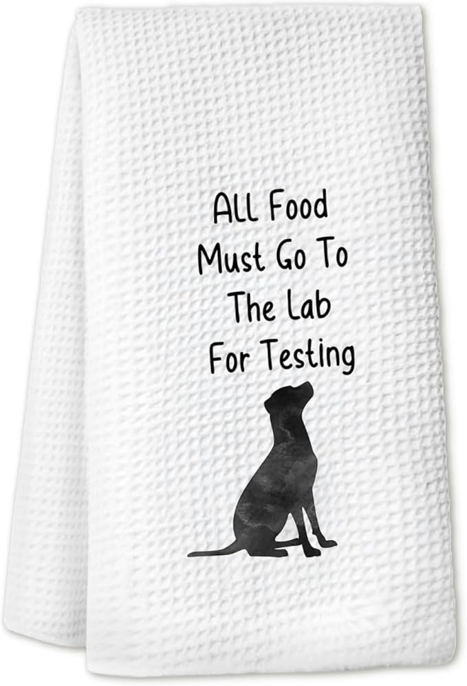 Funny Black Lab Kitchen Towels, Black Labrador Retriever Gifts Dish Towels for Kitchen Drying, Gifts for Labrador Dog Lovers Decorative Hand Towels, 16x24 Inch