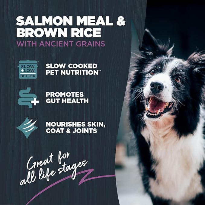 Blackwood Sensitive Skin & Stomach Dry Dog Food, Salmon Meal & Brown Rice with Ancient Grains, 4.5 Pound Bag with Prebiotics & Probiotics to Promote Gut Health