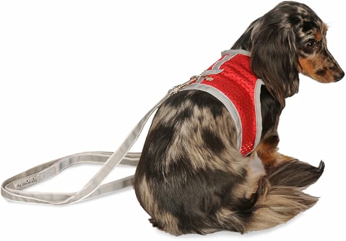 Athletic Mesh Dog Harness for Teacup, Small - Small Dogs and Puppies | Reflective Trim and Comfortable Velcro Closure