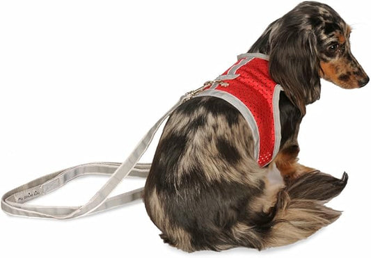 Athletic Mesh Dog Harness for Teacup, XSmall - Small Dogs and Puppies | Reflective Trim and Comfortable Velcro Closure