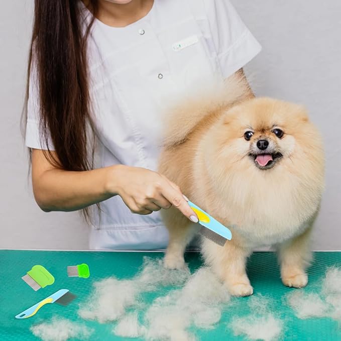 5pcs Flea Comb,Dematting Comb for Dog and Cat,Stainless Steel Teeth Head Nit Comb for Small,Medium&Large Pets,Lice Combs,Tick Comb for Dogs,Dog Combs for Grooming(A-blue green white)