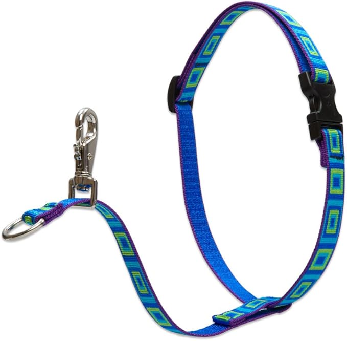 LupinePet Originals 3/4" Sea Glass 16-26" No Pull Harness for Small-Medium Dogs