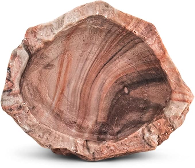 Fluker's Repta Bowl, Food and Water Bowl for Reptiles and Small Animals, Medium 6" (Pack of 2)