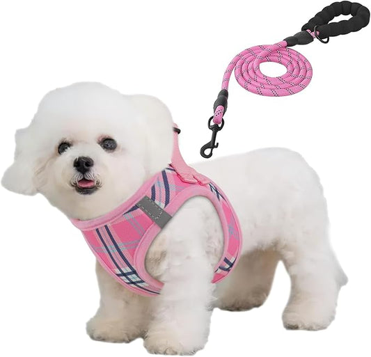 Athena Collection Small Dog Harness with 5 ft Leash, Step-in Dog Harness Leash Set Small No Pull Dog Vest Harness with Reflective Strips Adjustable Velcro, Easy Walk Puppy Harness, Pink